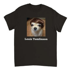 Camiseta Básica Louis Tomlinson Meme
