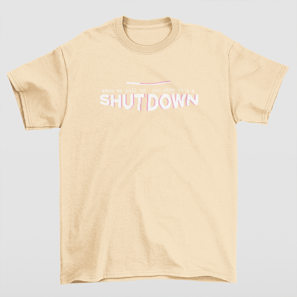 Camiseta Básica Shutdown Blackpink-PEROLA