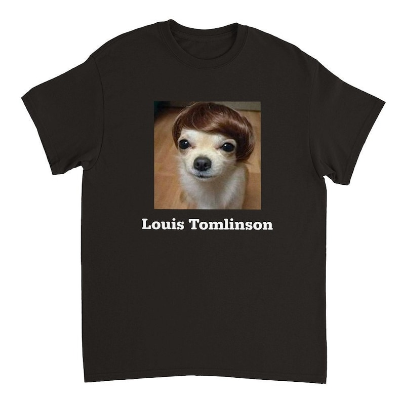 Camiseta Básica Louis Tomlinson Meme