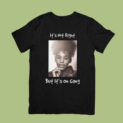 Camiseta Básica Whitney Houston I'ts Not Right